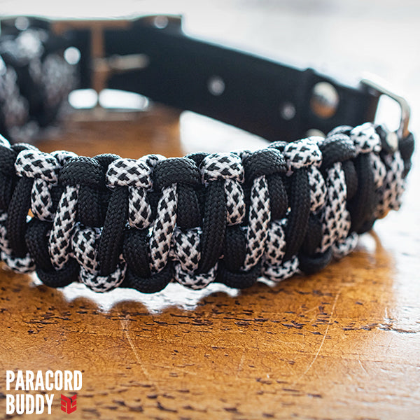 Dalmation Collar