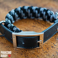 Thumbnail for Dalmation Collar