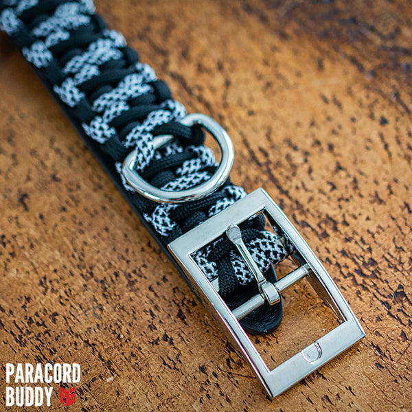Dalmation Collar