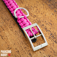 Thumbnail for Hot Pink Collar