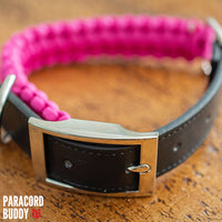 Thumbnail for Hot Pink Collar