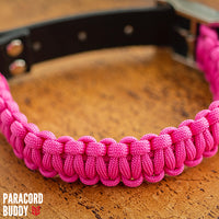 Thumbnail for Hot Pink Collar